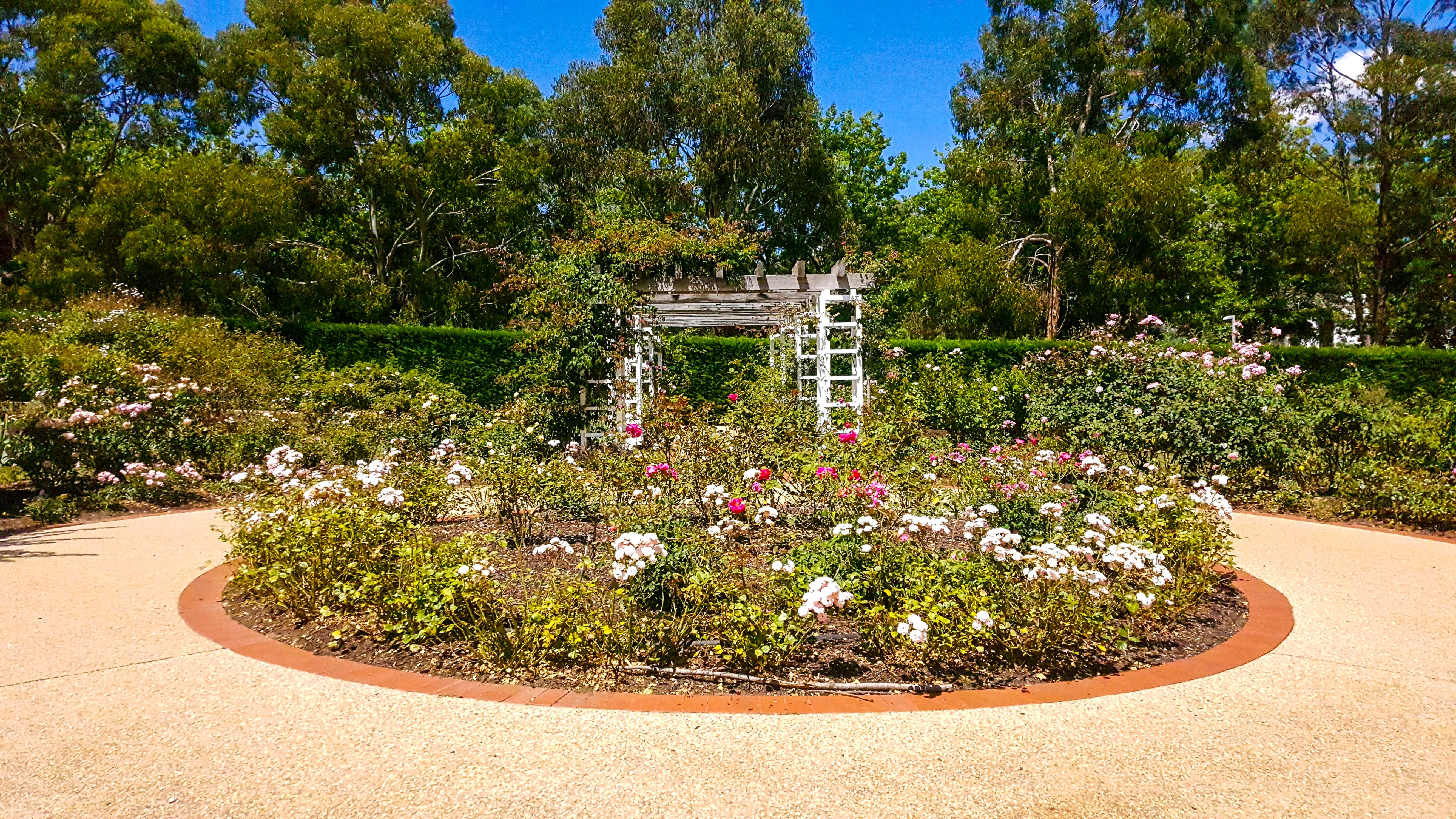 Senate Gardens
